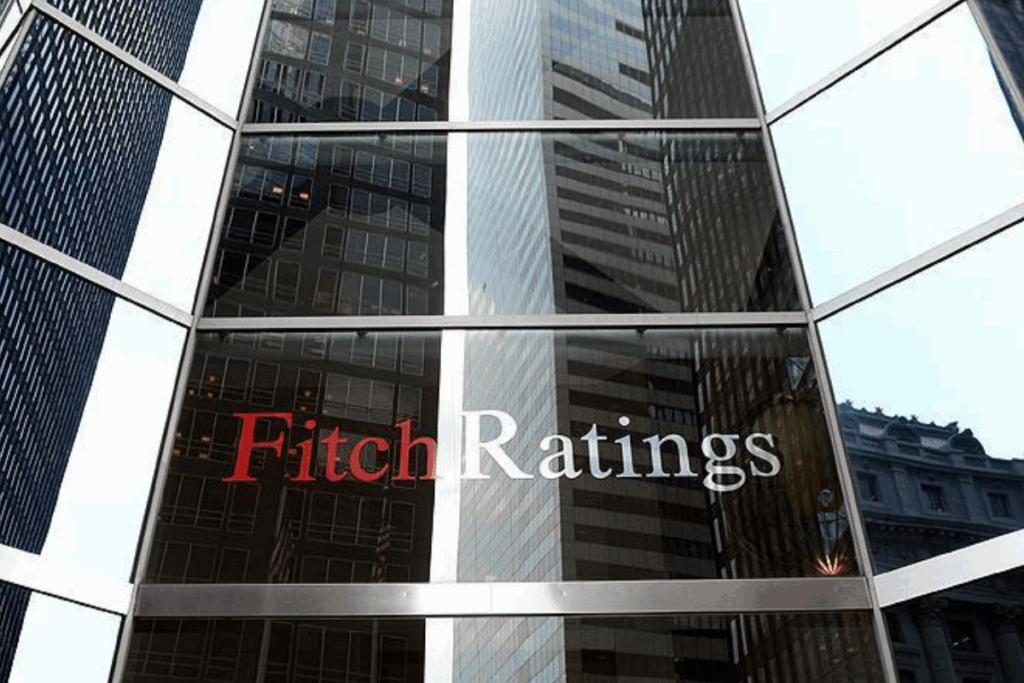 fitch ratings turkiyenin buyume tahminini yukseltti k7RzcUqV