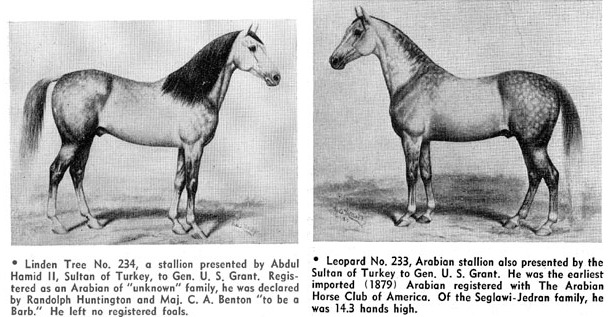 istanbula gelen ilk abd baskani general granta padisah abdulhamid iki nadide arap ati hediye DwhNIy8A