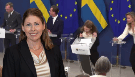 isvecin yeni saglik bakani elisabet lann kendisinin kamuoyuna tanitildigi ilk basin toplantisinda bayildi dZcZDUSF