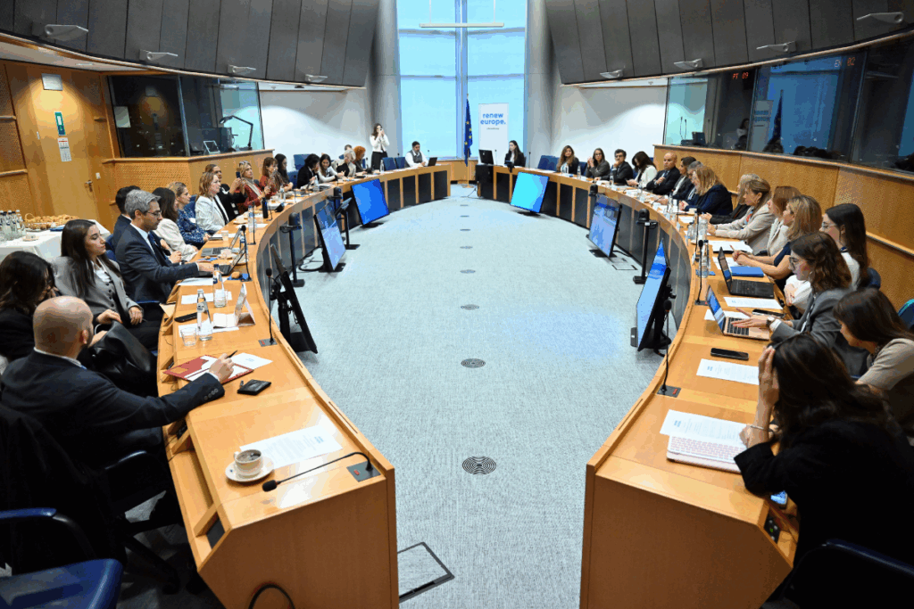 kagider turk is kadinlarinin vizyonunu avrupa parlamentosuna tasidi CLahMEyz