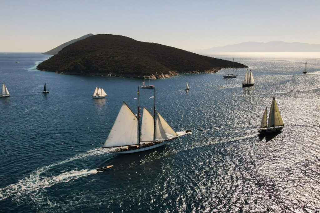maximiles black the bodrum cup 37nci kez basliyor 200 tekne 2 bin yelkenci bodrumda T3xemrdx