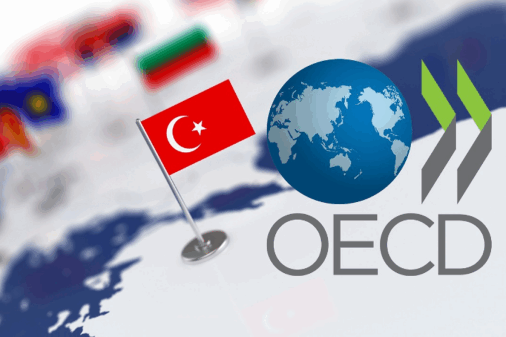 oecd turkiye icin buyume ve enflasyon tahminini yukseltti pmh2rEhe