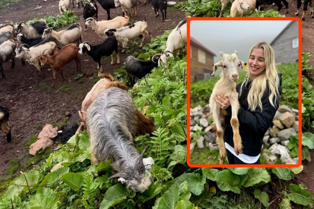 pinar sabanci ve esi ilhan sabanci karadeniz yaylalarina cikti tnx9SLQy