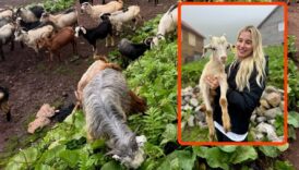 pinar sabanci ve esi ilhan sabanci karadeniz yaylalarina cikti tnx9SLQy