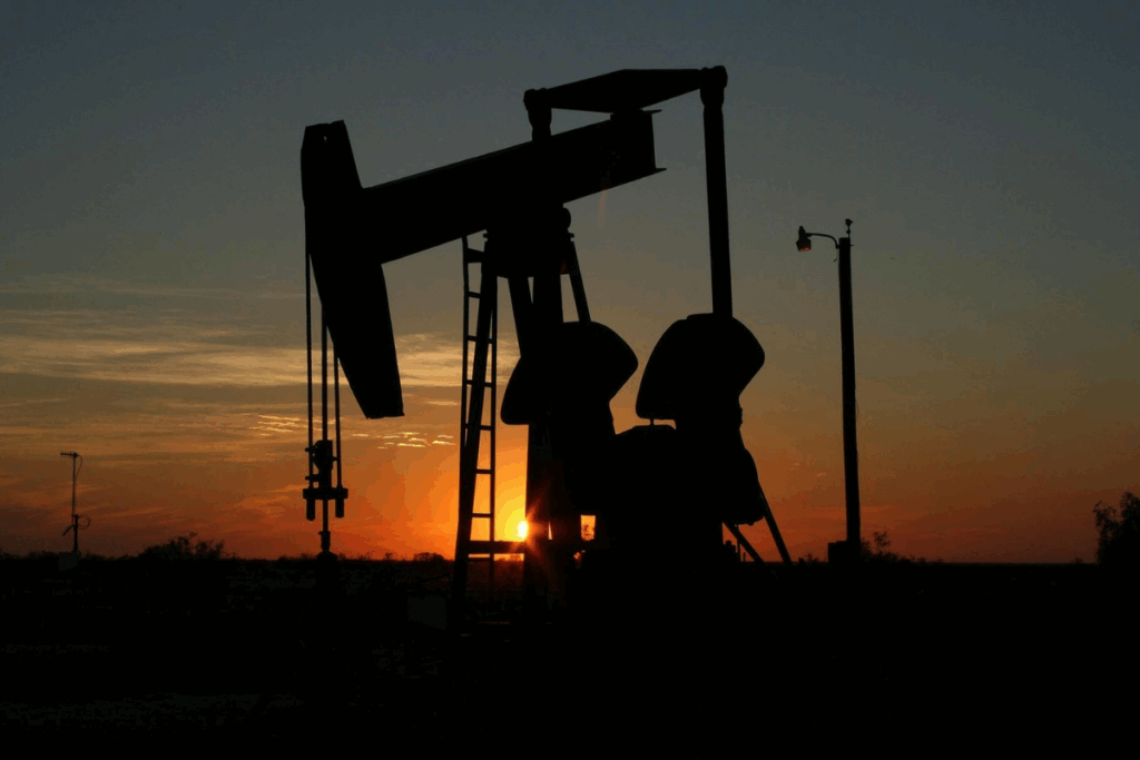 resmi gazetede yayinlandi tpao ve petrogasin petrol isletme ruhsatinin suresi uzatildi dSy7pKpH