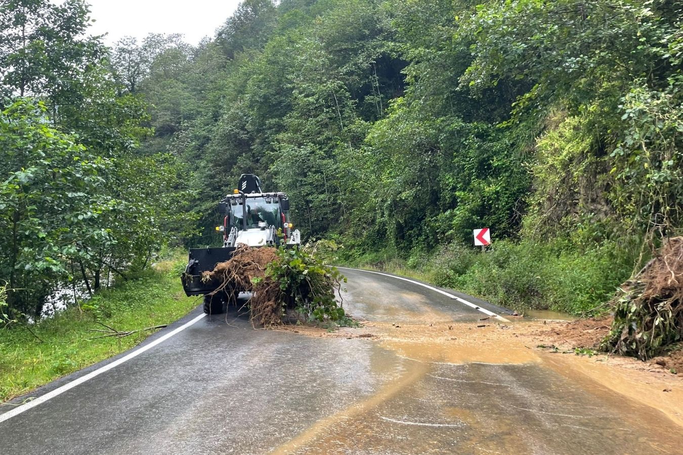 trabzonda etkili yagis nedeniyle dort ilcede heyelan ve su taskinlari yasandi 1 fDeROA1a