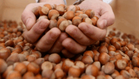 turk findigi gecen sezon 124 ulkede alici buldu SVmYUDaK