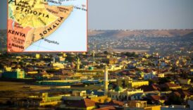 turk is insanlarina somalide yatirim cagrisi gelin somaliyi gorun WMVshVAN