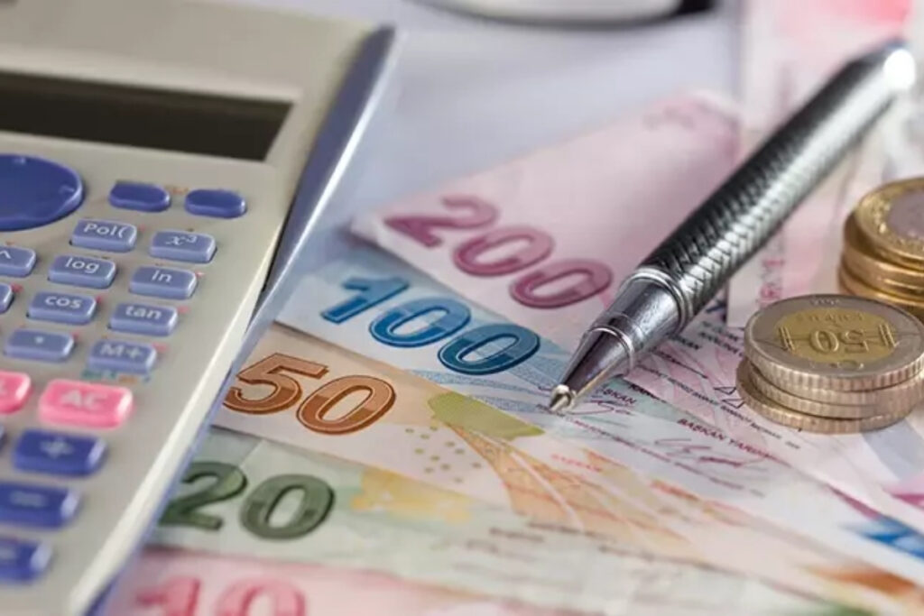 turkiyede gecen yil 21 bin 463 mali araci kurulus faaliyet gosterdi mij1iqyg