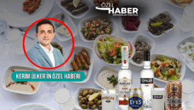 anadolu grubuna bagli efes ve rakibi tuborg sirket satin alarak rekabeti rakiya tasidi rekabet YuyeCP4b