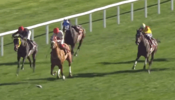 ankaradaki kosuda jokeyi ercan cankaya uzerinden dusen at kosmaya devam etti yarisi 5inci bitirdi gKTwuQAD