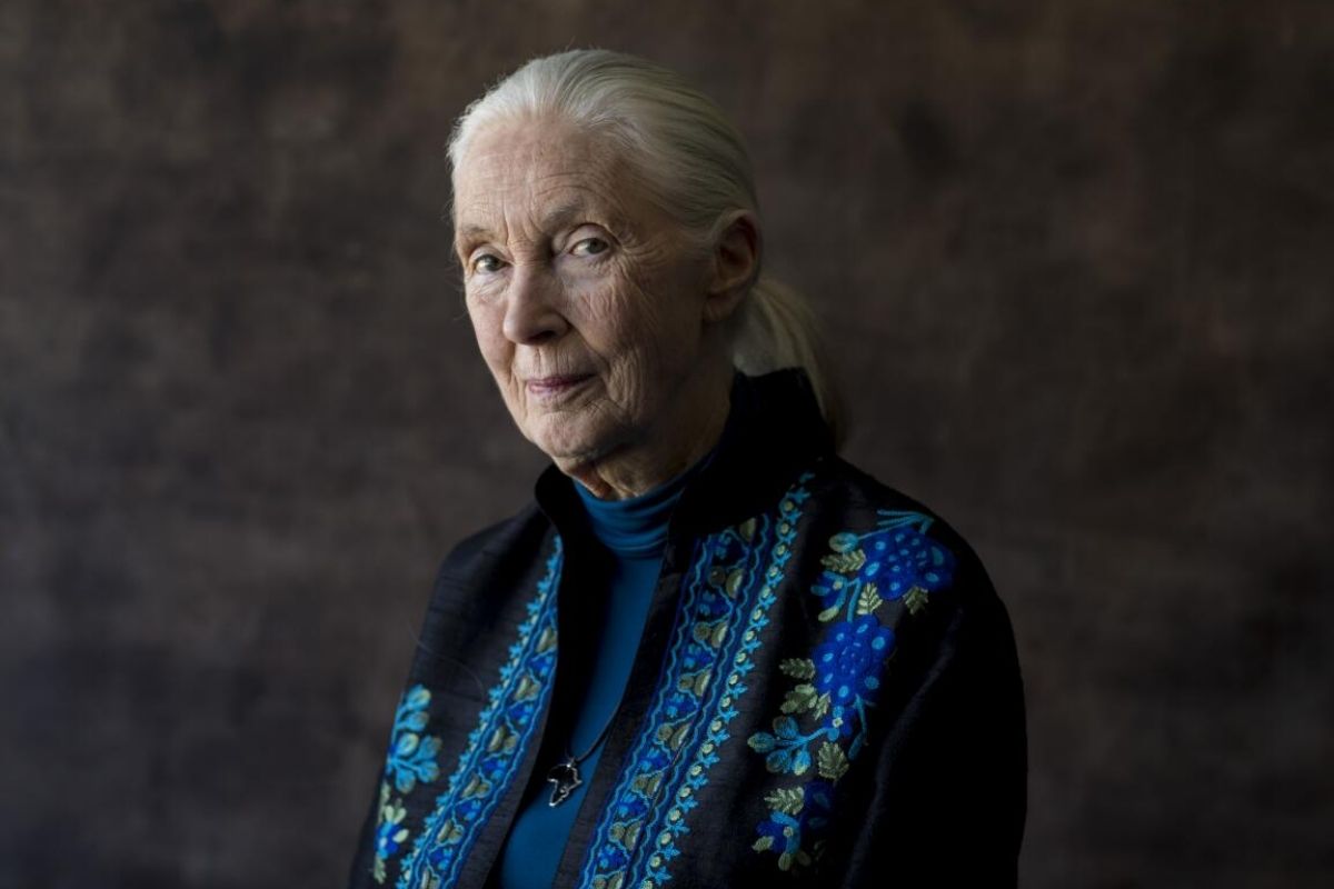dunyaca unlu ingiliz primatolog jane goodall 91 yasinda hayatini kaybetti 3 ke9vHK9h