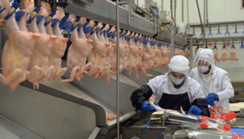 filipinlere kanatli eti ile su urunleri ihracatindaki kisitlamalar kaldirildi mCbycXcA