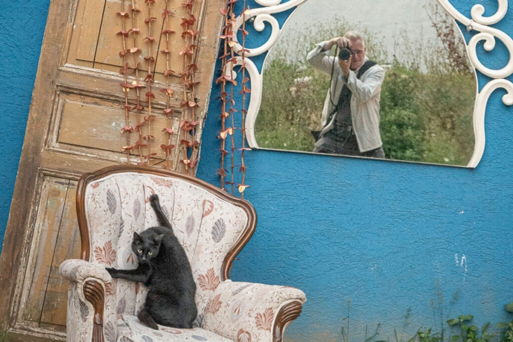 fotografci marcel heijnenin gozuyle istanbul bu sehirde kediler sadece hayvan degil kulturun bir parcasi VpELuKK8