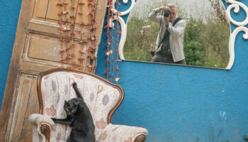 fotografci marcel heijnenin gozuyle istanbul bu sehirde kediler sadece hayvan degil kulturun bir parcasi VpELuKK8