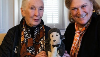 guler sabanci hayatini kaybeden jane goodalli sosyal medya paylasimiyla andi V3NQyLvz