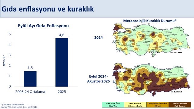 hazine ve maliye bakani mehmet simsek eylulde yuksek gerceklesen aylik enflasyonda gida fiyatlari belirleyici 4Q6nQm38