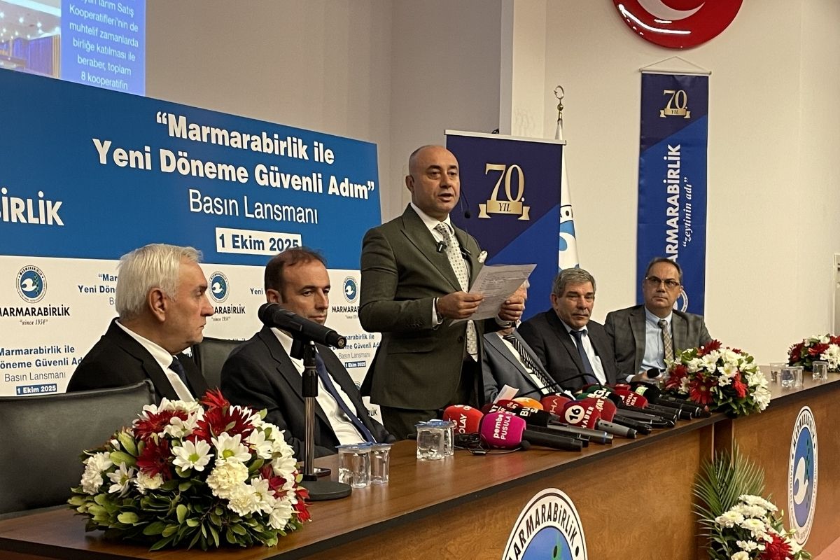 marmarabirlik sofralik ve yaglik olmak uzere toplamda 170 bin ton zeytin bekliyor 1 jh73KECX