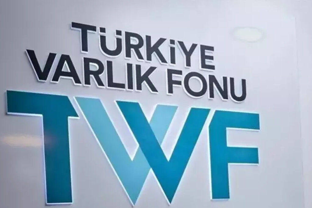 turkiye varlik fonunun girisime sagladigi destek 100 milyon dolari asti JrpDWvE1