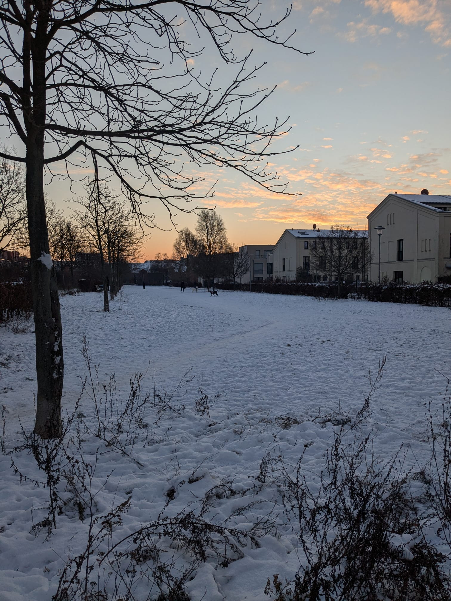 avrupa soguga teslim ucus iptalleri egitime verilen aralar can kayiplari 2 4hLryEbp