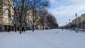 avrupa soguga teslim ucus iptalleri egitime verilen aralar can kayiplari CubPyw3A