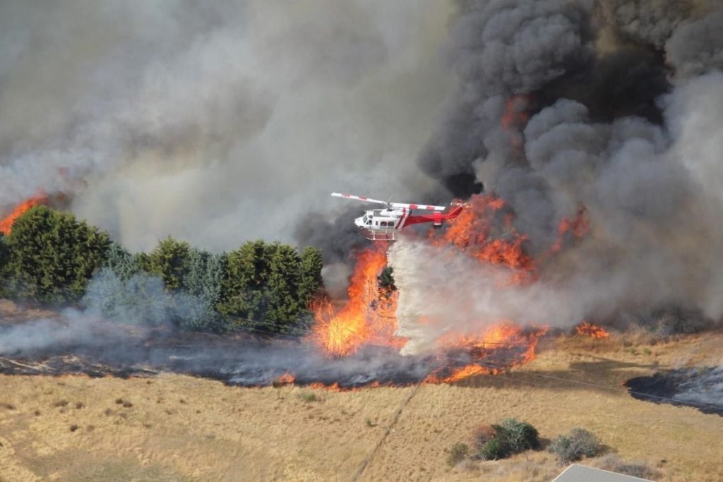 avustralyanin victoria eyaletinde cikan orman yanginlari buyuk yikima yol acti ssXrYPDm