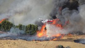 avustralyanin victoria eyaletinde cikan orman yanginlari buyuk yikima yol acti ssXrYPDm