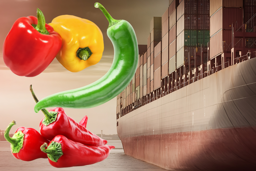 bati akdenizde biber ilk kez domatesi geride birakarak ihracat sampiyonu oldu MDZD4Hqh