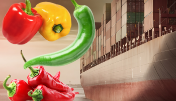 bati akdenizde biber ilk kez domatesi geride birakarak ihracat sampiyonu oldu MDZD4Hqh