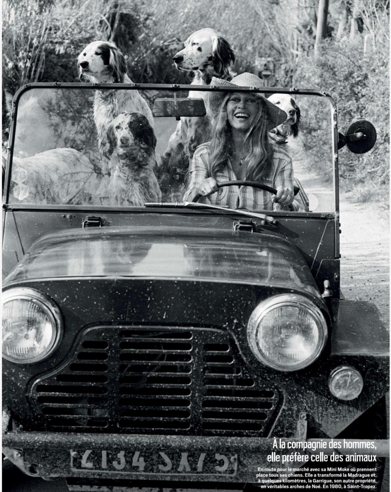 Dünya sinemasının efsane ismi Brigitte Bardot son yolculuğuna hasır bir tabutta uğurlandı, tabutun sırrını Ertuğrul Özkök yazdı 2 dunya sinemasinin efsane ismi brigitte bardot son yolculuguna hasir bir tabutta ugurlandi tabutun sirrini RMm5gAHn