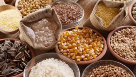 egeli hububatcilar guney kore pazarinda buyumeyi hedefliyor z9wQlZBf