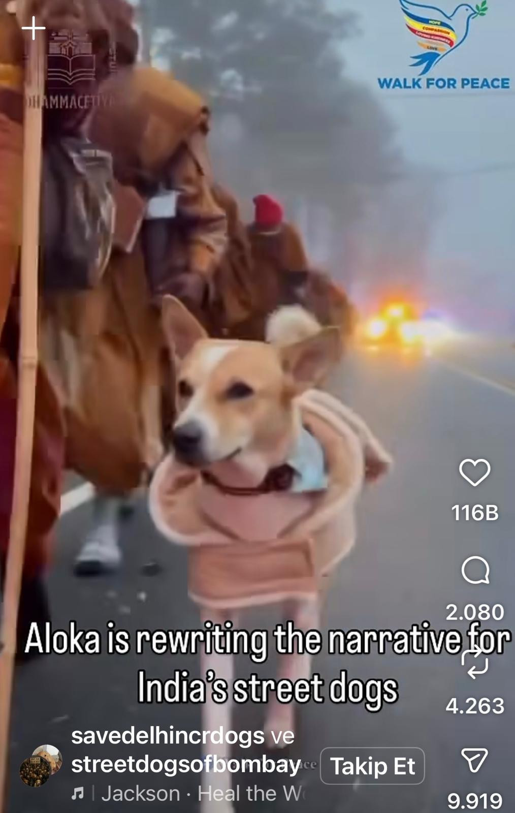 ertugrul ozkok abdde 10 budist rahiple birlikte baris yuruyusu yapan sokak kopegi alokayi yazdi 3A56ttRT