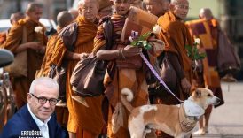 ertugrul ozkok abdde 10 budist rahiple birlikte baris yuruyusu yapan sokak kopegi alokayi yazdi 3hsUAuQO