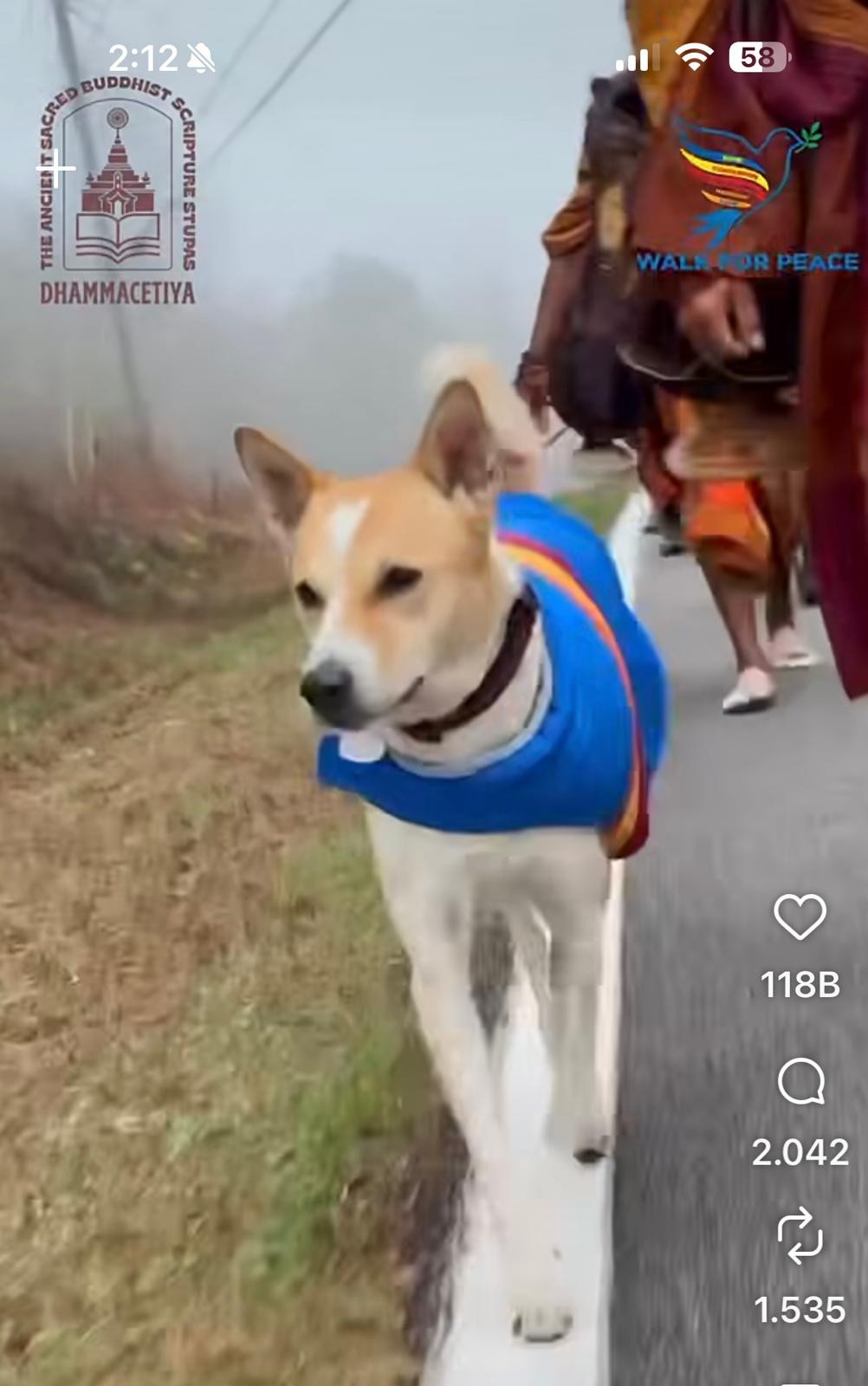 ertugrul ozkok abdde 10 budist rahiple birlikte baris yuruyusu yapan sokak kopegi alokayi yazdi KASAtJXM