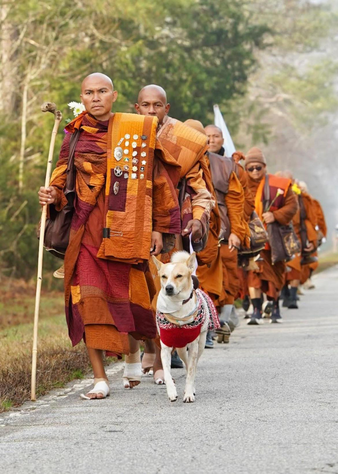 ertugrul ozkok abdde 10 budist rahiple birlikte baris yuruyusu yapan sokak kopegi alokayi yazdi piYWrdcO