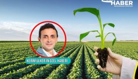 gen kopyalayip bitki ureterek dunyaya satan ilk turk sirketi vitro antalya polonyali vitroflora groupa wcawFU7R