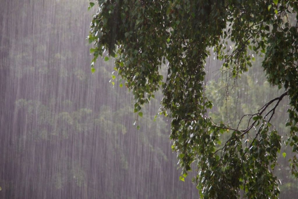 icisleri bakanligindan 36 ile cig yagmur firtina ve baca gazi zehirlenme uyarisi 4xqIhXaw