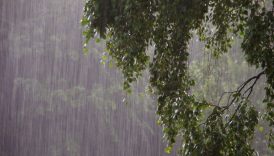 İçişleri Bakanlığı'ndan 36 ile çığ, yağmur, fırtına ve baca gazı zehirlenme uyarısı 4 icisleri bakanligindan 36 ile cig yagmur firtina ve baca gazi zehirlenme uyarisi 4xqIhXaw