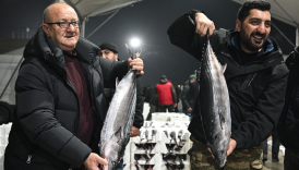 istanbulda uzun yillar sonra torik bollugu yasaniyor Oyz4JEwX