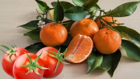 istanbullular 2025 yilinda en cok mandalina ve domates tuketti yLctQHwa