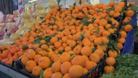 narenciye ihracatindan 2025 yilinda 15 milyar dolar geldi xcdum1IX