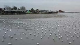 Silivri ve Avcılar'da denizde endişelendiren çekilme 5 silivri ve avcilarda denizde endiselendiren cekilme xmlWhHHw