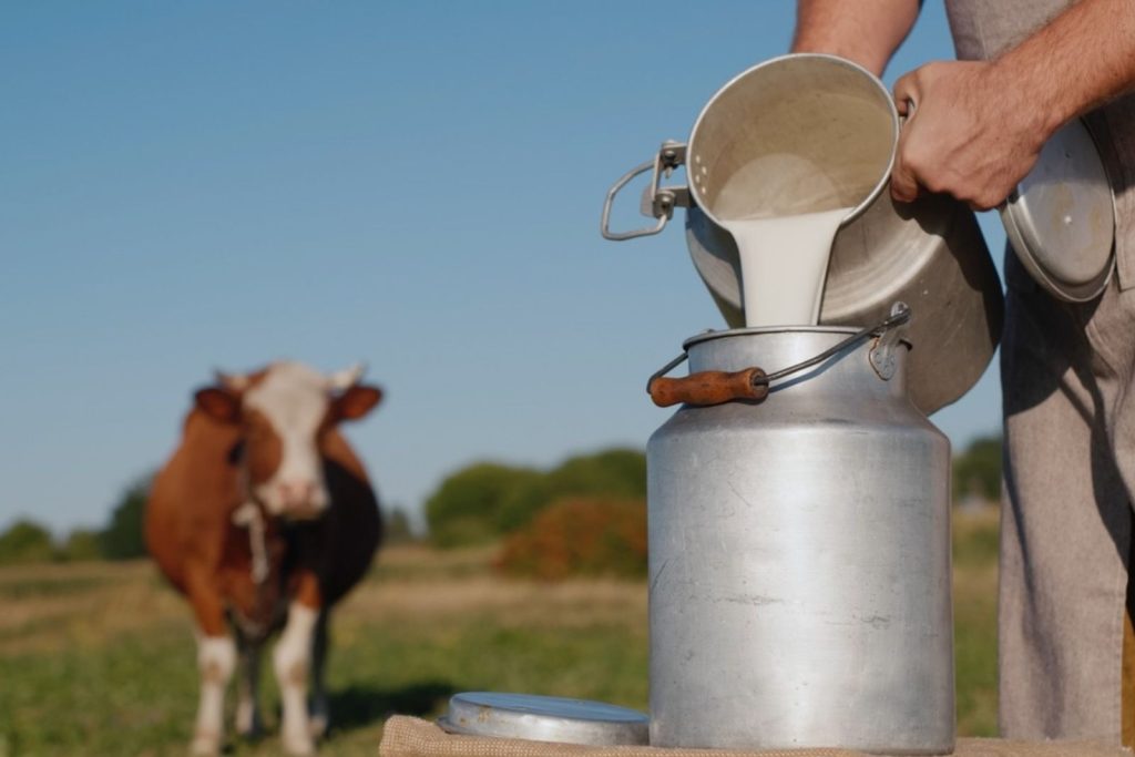 sut uretimi kasim ayinda gerilerken yillik dusus yuzde 4u buldu Xqcq2X6C