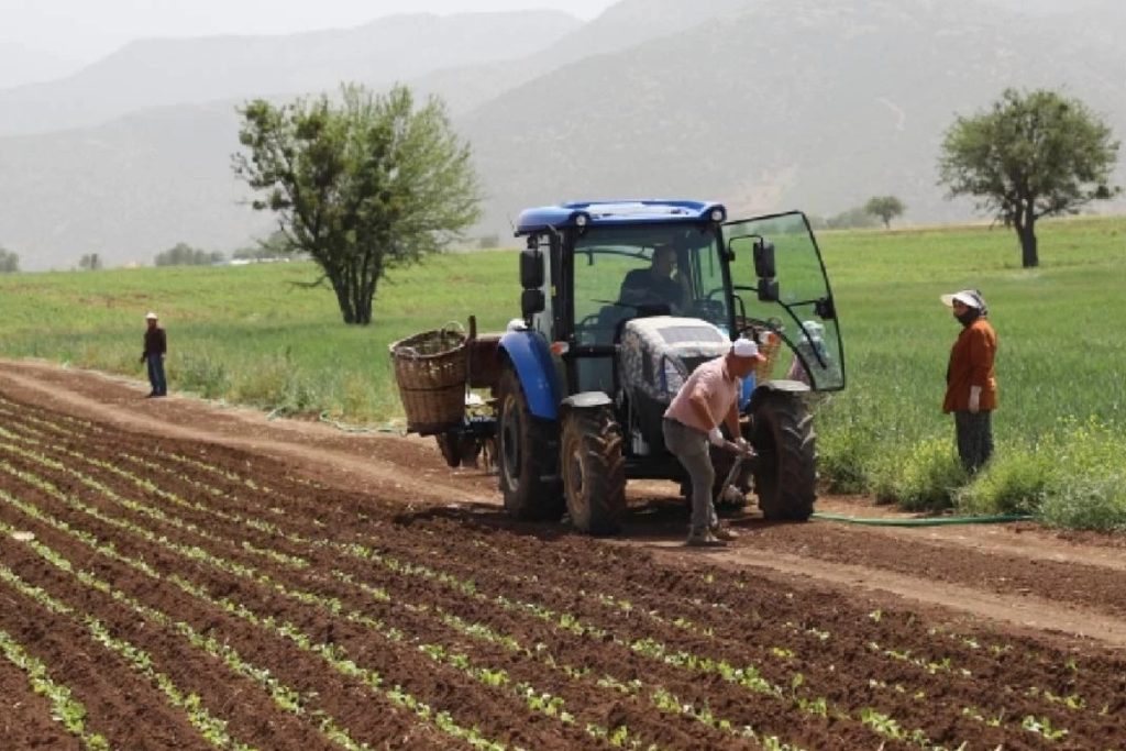 tarim urunleri uretici fiyat endeksi aralikta yukseldi ck5SsKTT