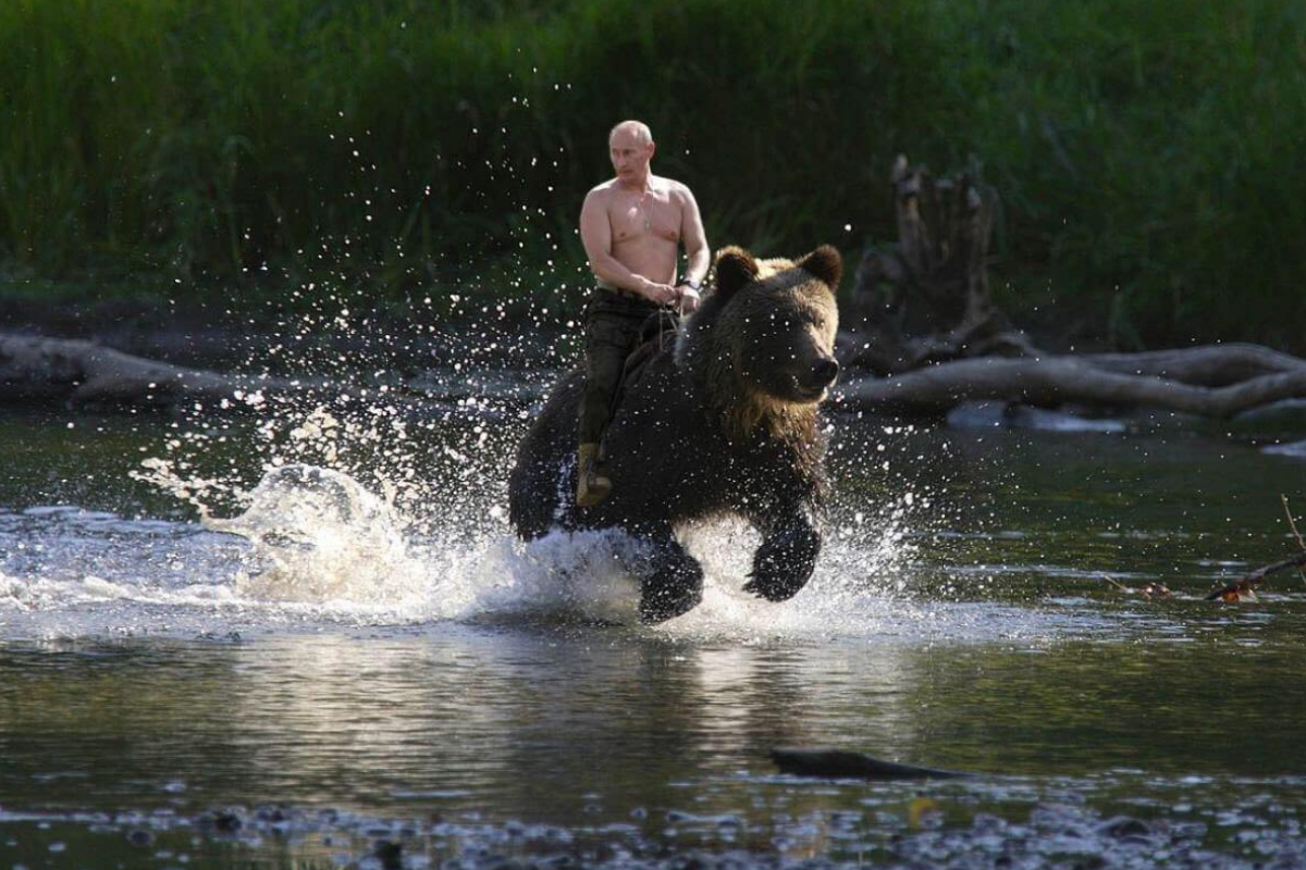 The Economist dergisi, ABD Başkanı Donald Trump’ı kutup ayısının üzerinde kapağına taşıdı 1 the economist dergisi abd baskani donald trumpi kutup ayisinin uzerinde kapagina tasidi 0 c4DnjwBy