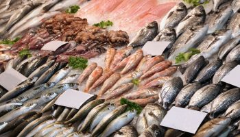 turkiye su urunlerinde 2 milyar 243 milyon dolar ihracat ile 2025 yilinda cumhuriyet tarihinin JPW4Fxu2