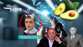 turkiyede suleyman demirel ile populer olan avokado fatih altaylinin cezaevi anilari sonrasi tekrar gundemde Js3IUNaW
