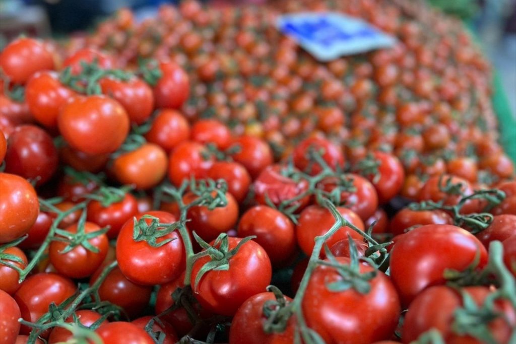 turkiyeden gecen yil 401 milyon dolarlik domates ihrac edildi ZjpdUE8T