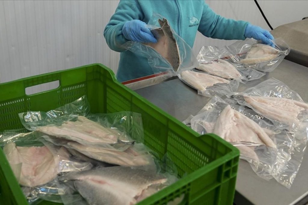 turkiyenin su urunleri ve hayvansal mamulleri ihracati 4 milyar dolari asti 1pt7uG4c