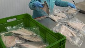 turkiyenin su urunleri ve hayvansal mamulleri ihracati 4 milyar dolari asti 1pt7uG4c